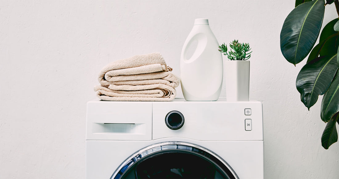 5 Filthy Places In Homes That Can Make Us Sick